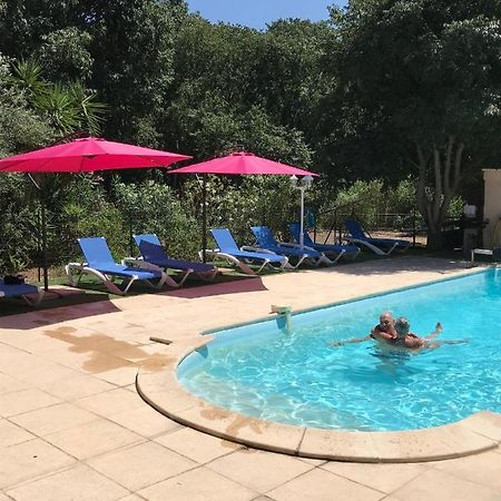 Gites De La Massane Argeles-sur-Mer Luaran gambar