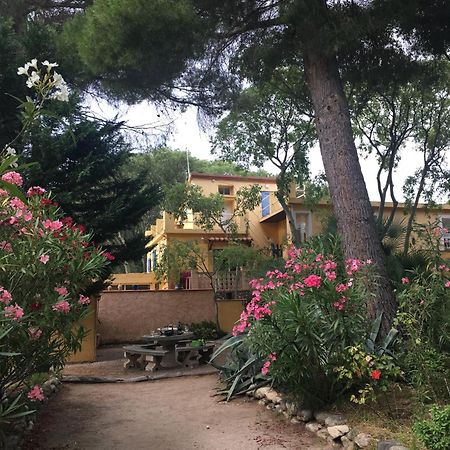 Gites De La Massane Argeles-sur-Mer Luaran gambar