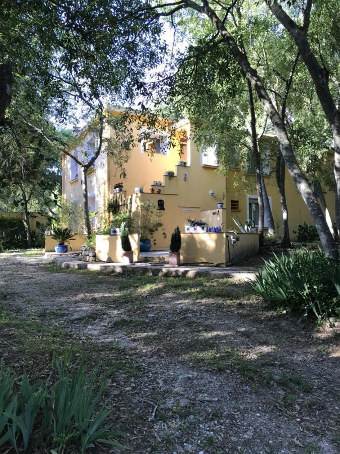 Gites De La Massane Argeles-sur-Mer Luaran gambar