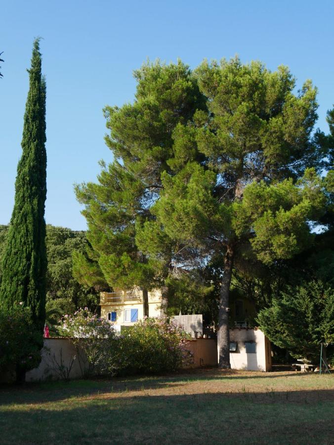 Gites De La Massane Argeles-sur-Mer Luaran gambar