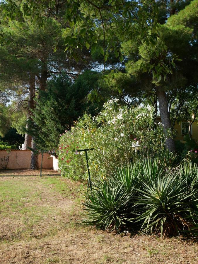 Gites De La Massane Argeles-sur-Mer Luaran gambar