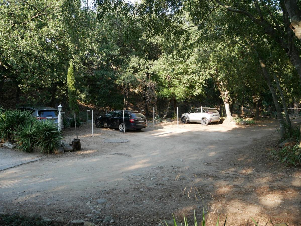 Gites De La Massane Argeles-sur-Mer Luaran gambar