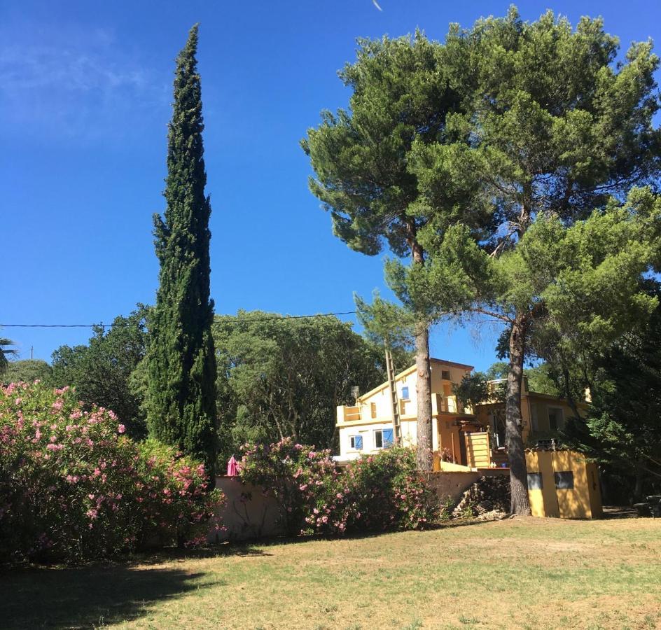 Gites De La Massane Argeles-sur-Mer Luaran gambar