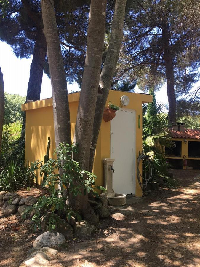 Gites De La Massane Argeles-sur-Mer Luaran gambar
