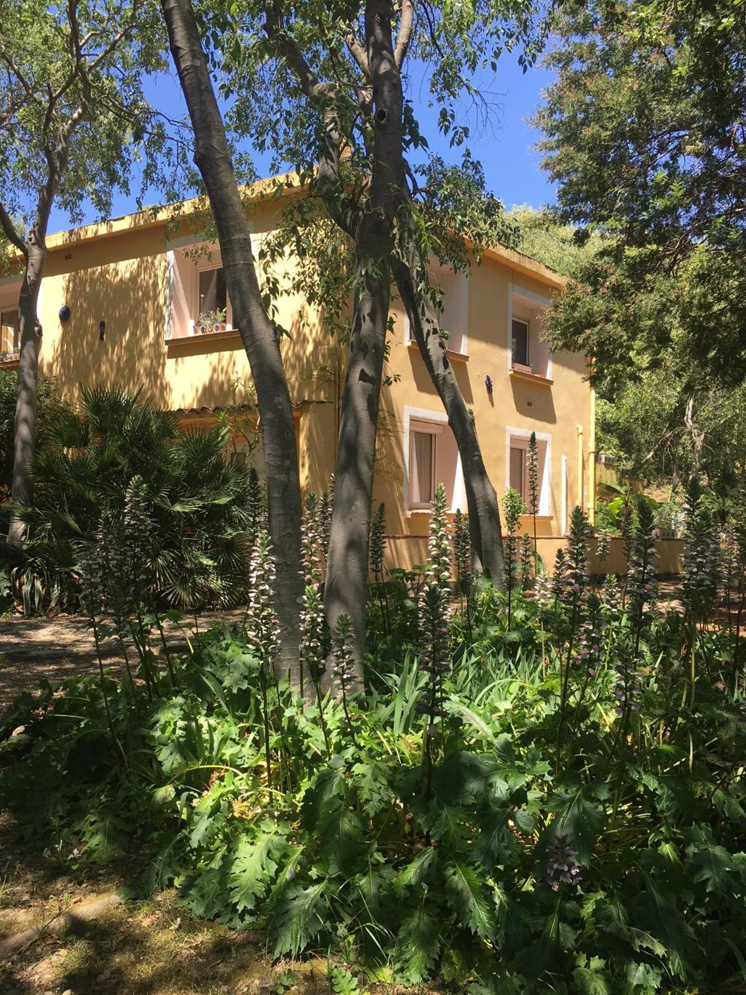 Gites De La Massane Argeles-sur-Mer Luaran gambar